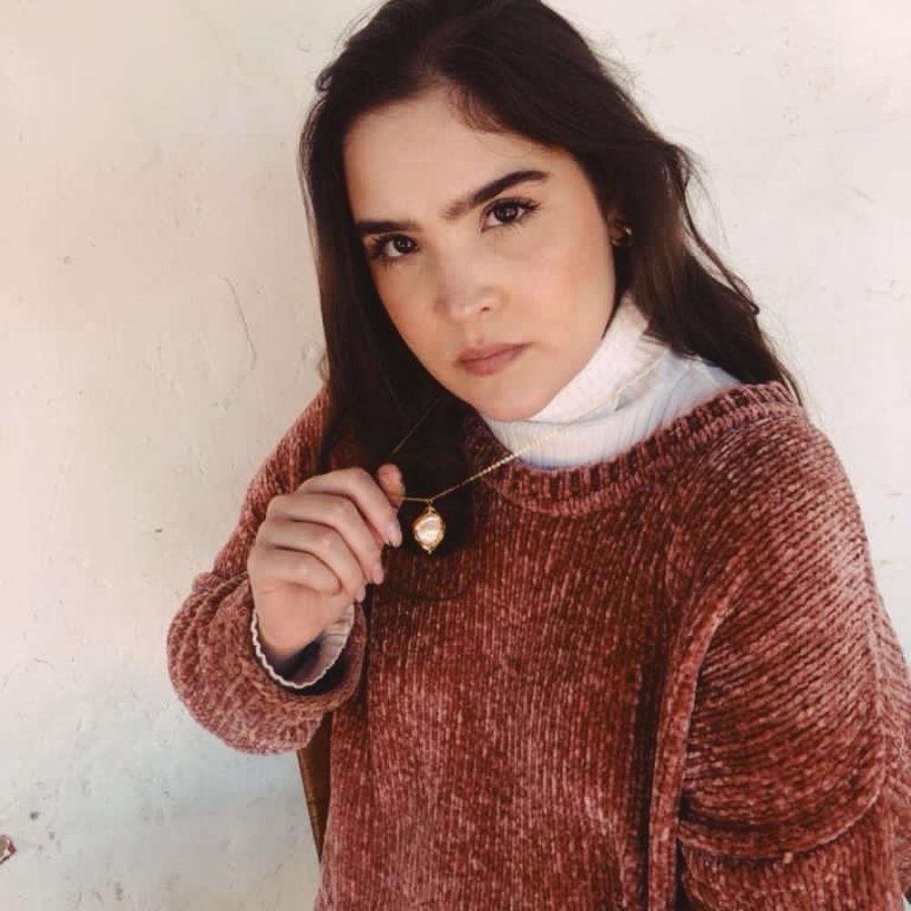 Zara Dusty Rose Chenille Sweater
